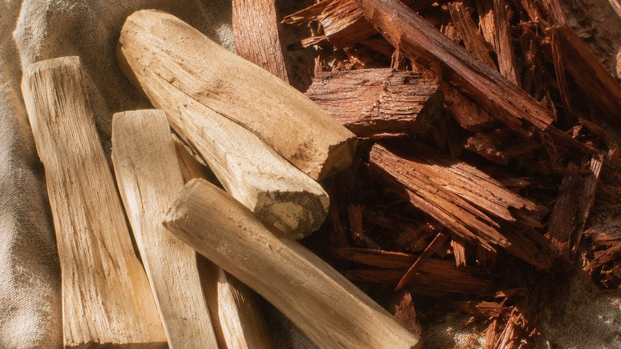 ¿Para qué sirve el palo santo?