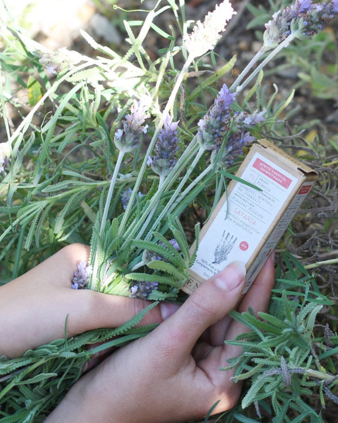 Aceite esencial de lavanda BIO