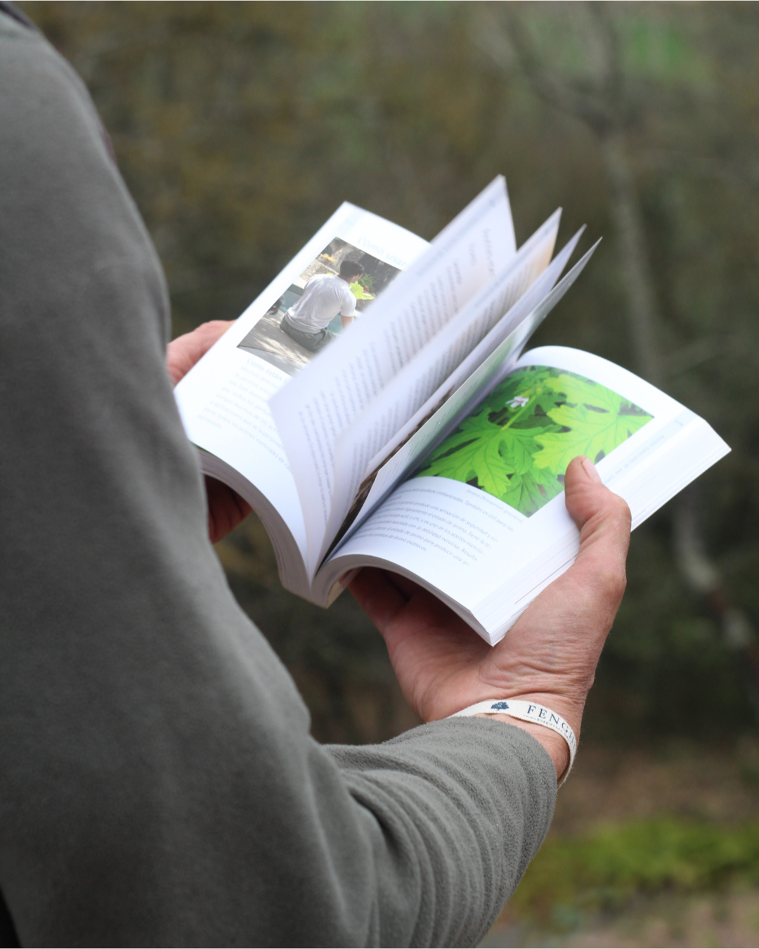 La biblia de la aromaterapia