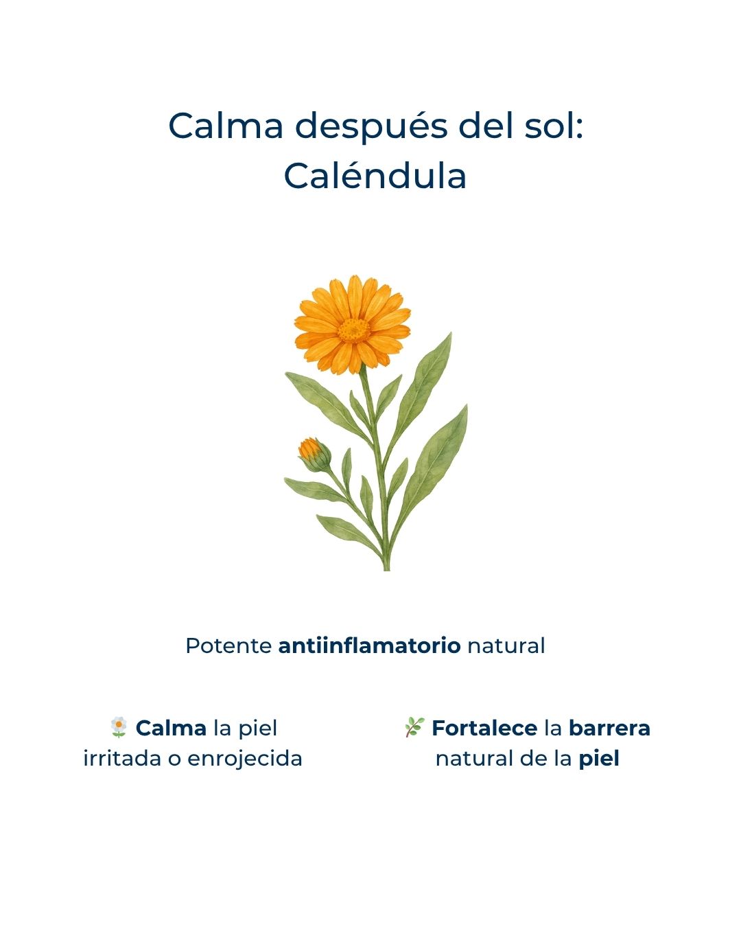 Rutina Solar: Pelo y Piel