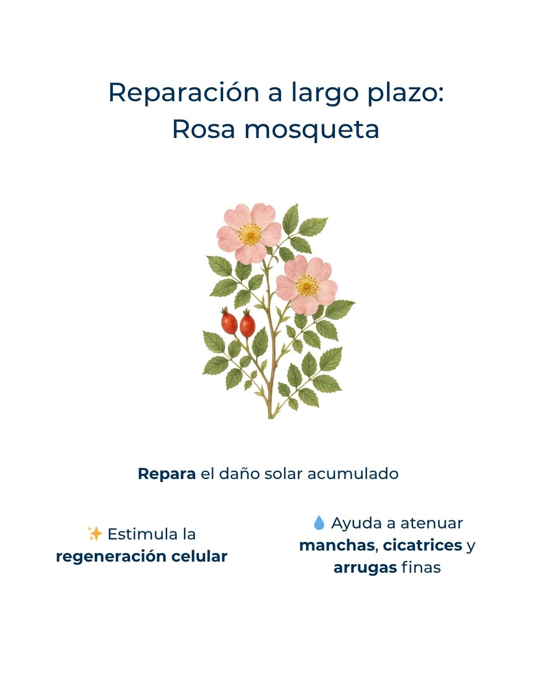 Rutina Solar: Pelo y Piel