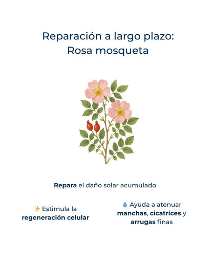 Rutina Solar: Pelo y Piel