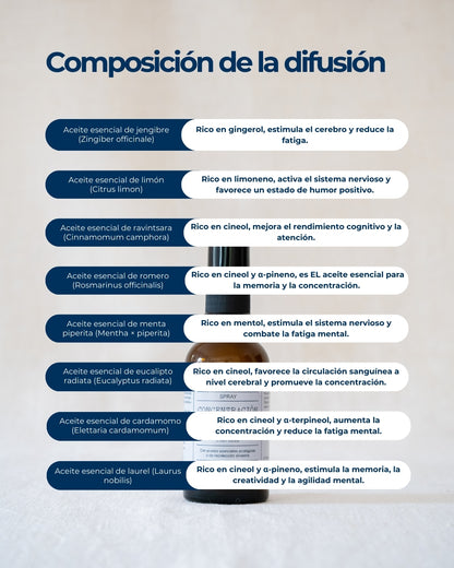 Pack concentración y memoria