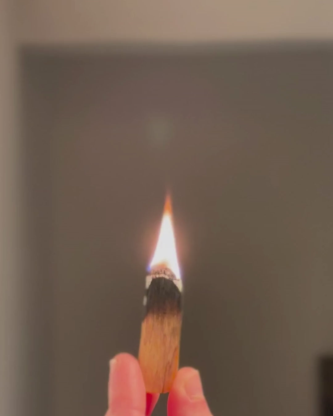 Palo santo sostenible y de comercio justo